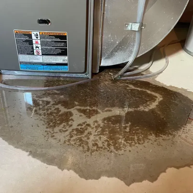 Appliance Leak Cleanup in Charles City County, VA